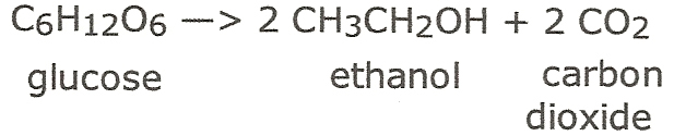 bioethanol formula